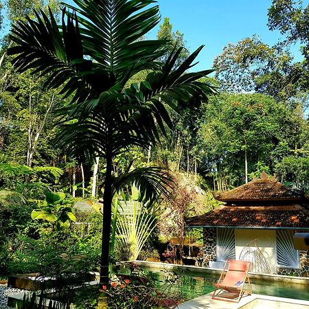 Mi Casa - The Gem Of Ijen Hotel Banyuwangi  Luaran gambar