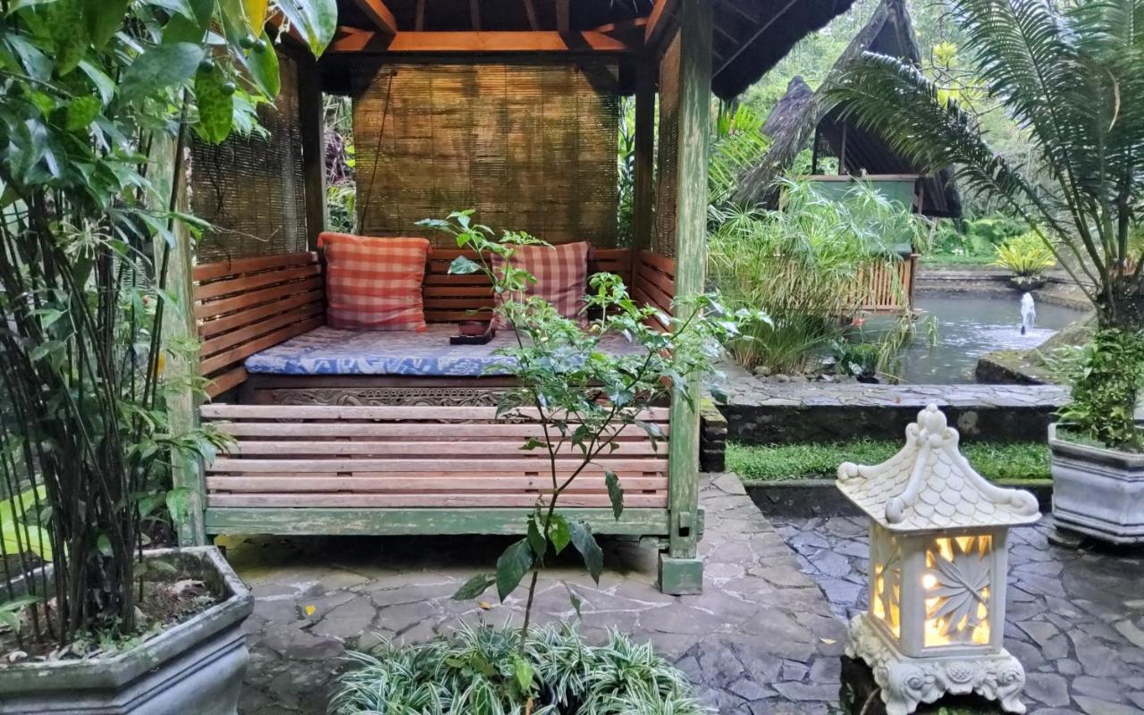 Mi Casa - The Gem Of Ijen Hotel Banyuwangi  Luaran gambar