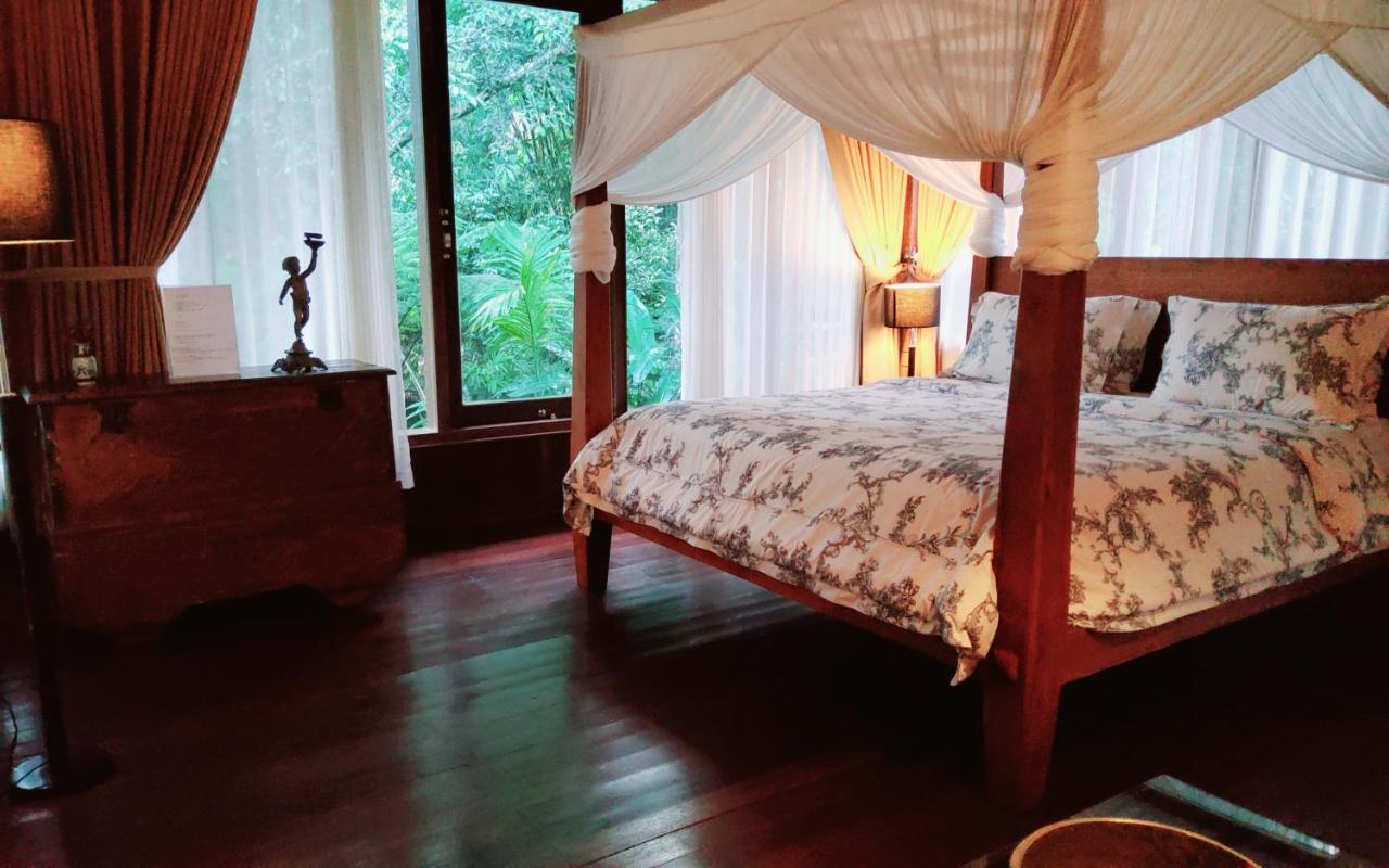 Mi Casa - The Gem Of Ijen Hotel Banyuwangi  Luaran gambar