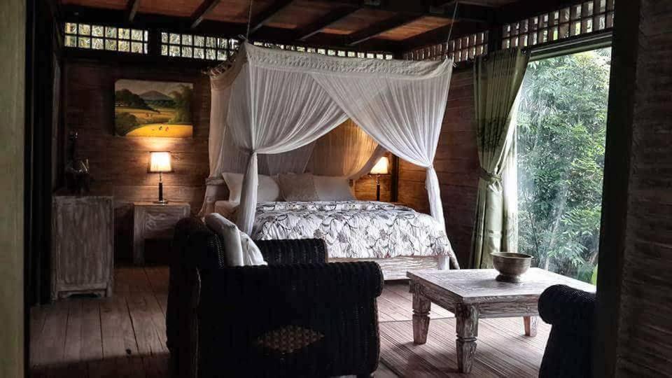 Mi Casa - The Gem Of Ijen Hotel Banyuwangi  Luaran gambar