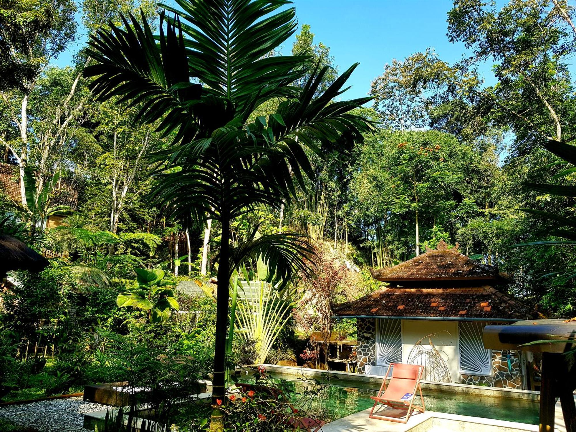 Mi Casa - The Gem Of Ijen Hotel Banyuwangi  Luaran gambar