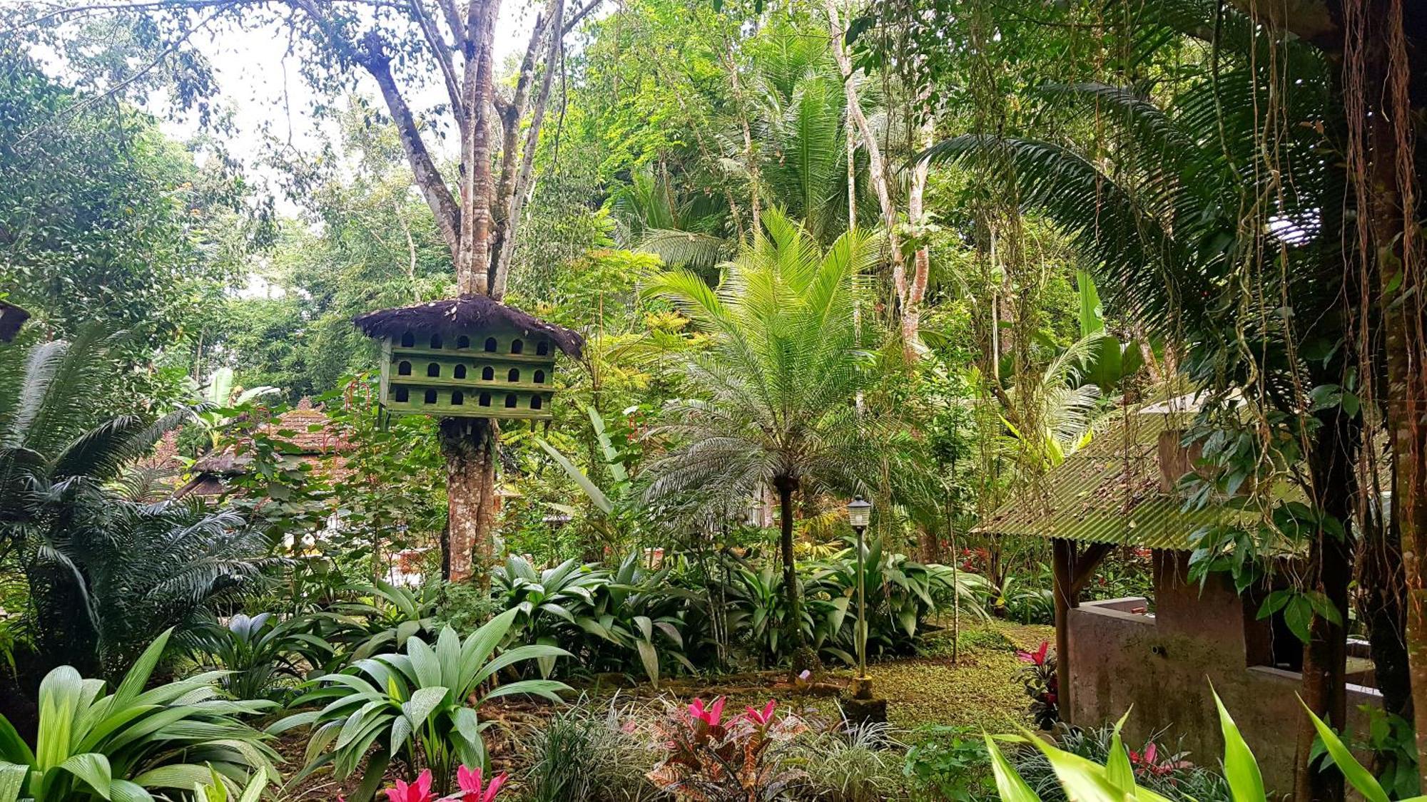 Mi Casa - The Gem Of Ijen Hotel Banyuwangi  Luaran gambar