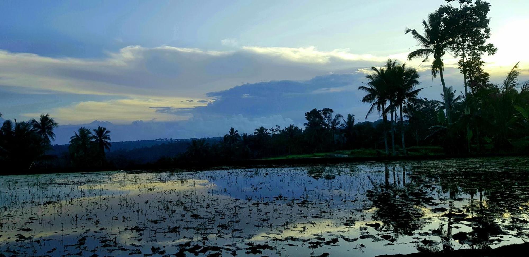 Mi Casa - The Gem Of Ijen Hotel Banyuwangi  Luaran gambar
