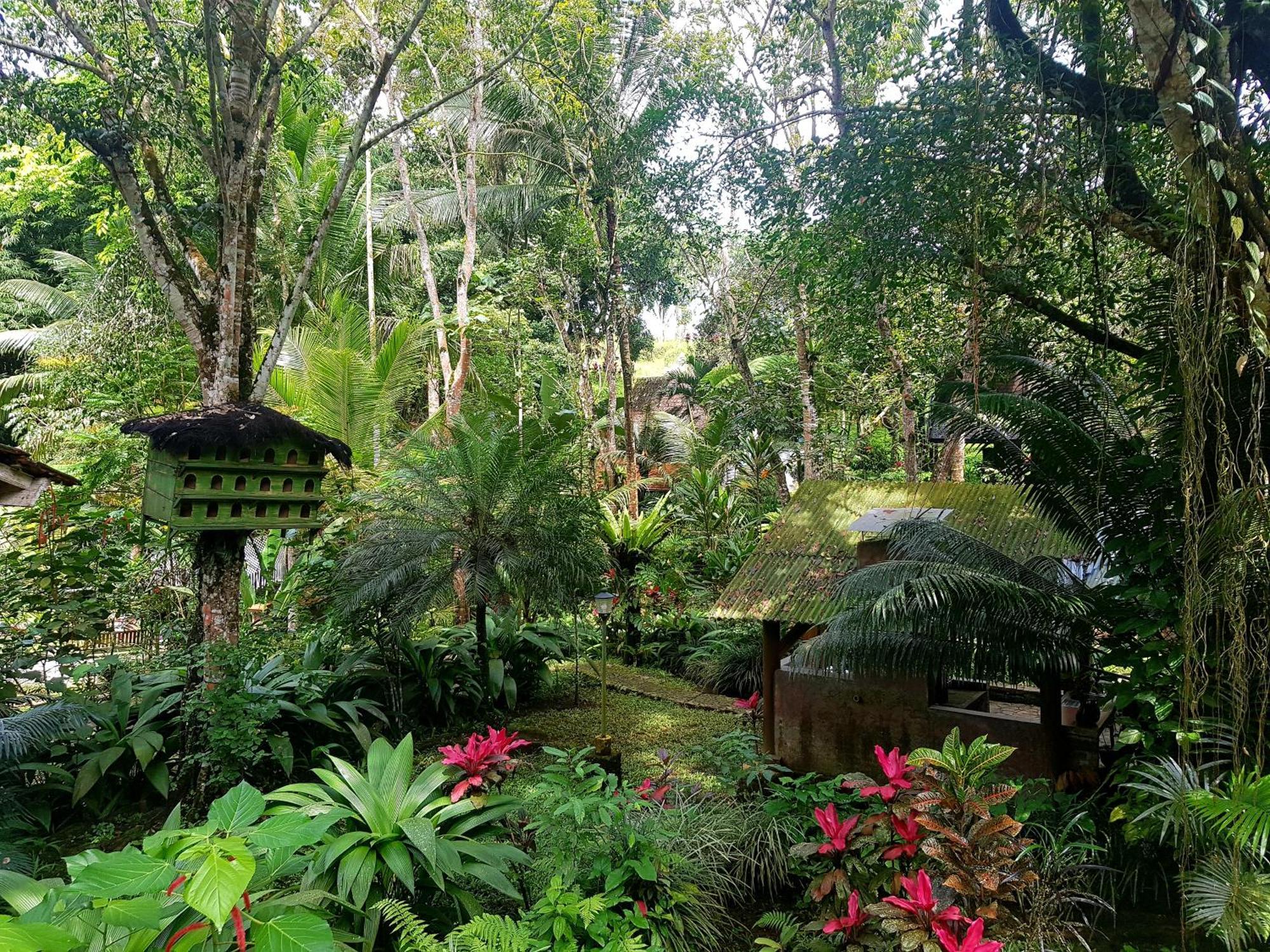 Mi Casa - The Gem Of Ijen Hotel Banyuwangi  Luaran gambar