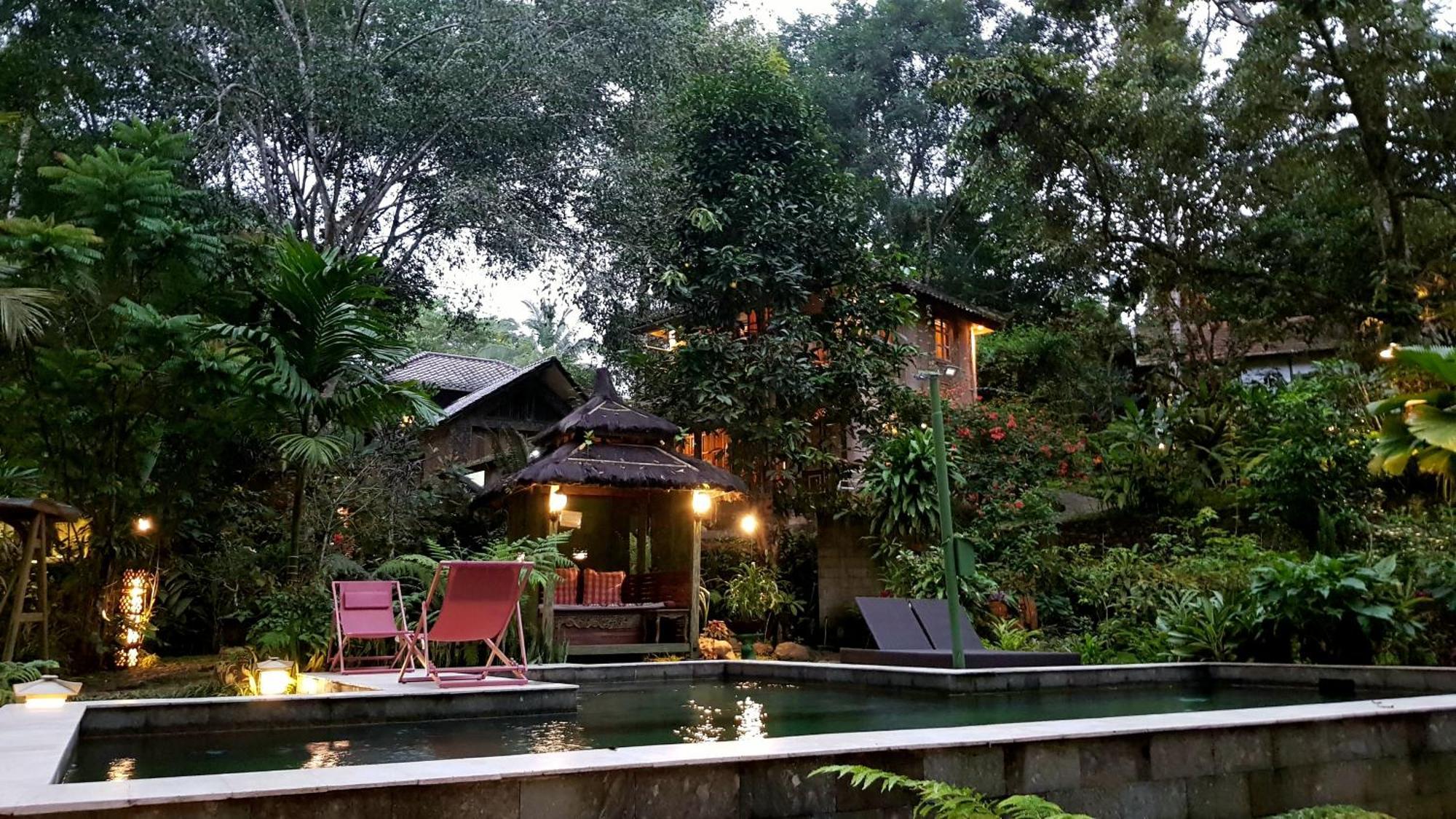 Mi Casa - The Gem Of Ijen Hotel Banyuwangi  Luaran gambar