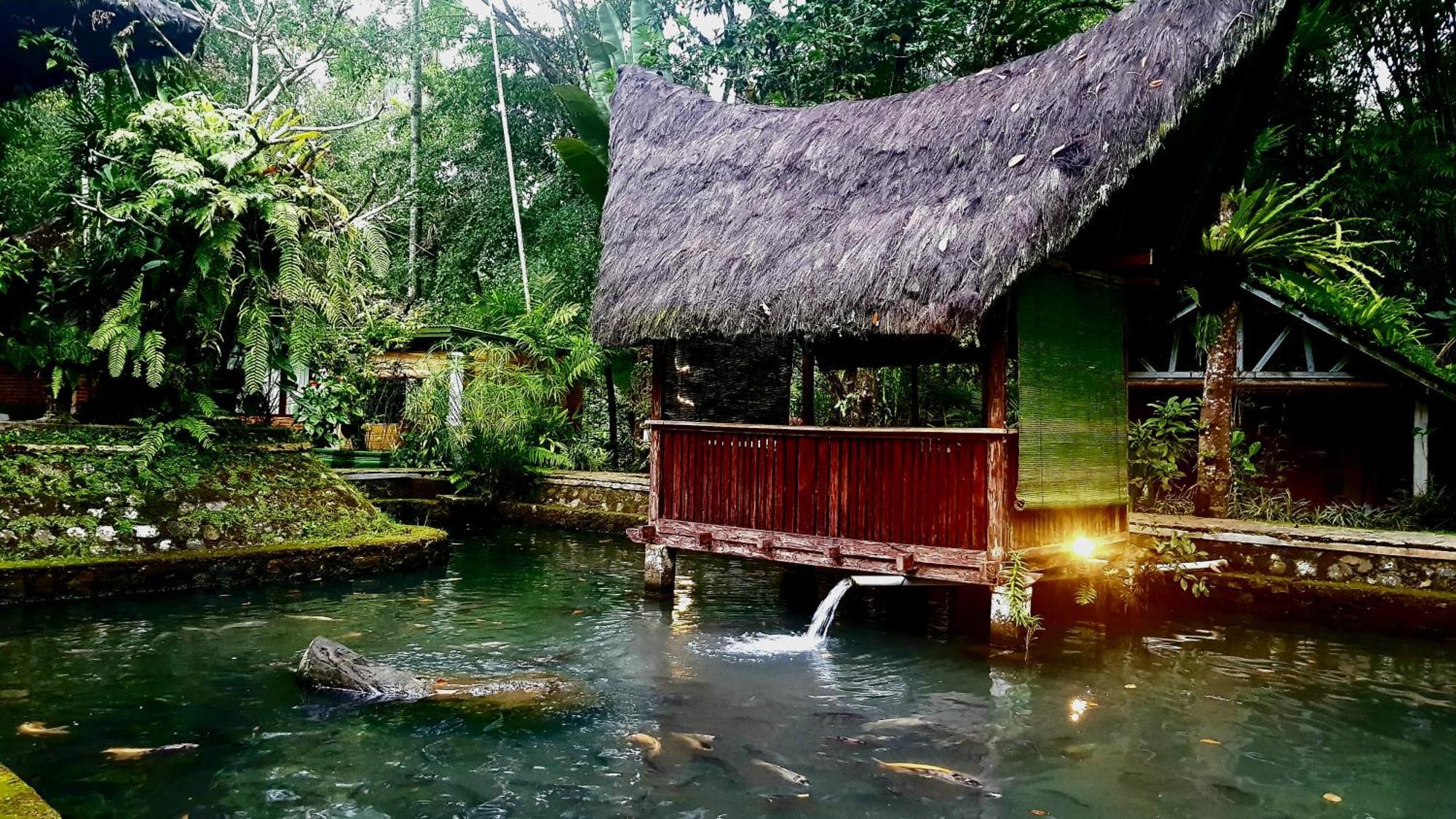 Mi Casa - The Gem Of Ijen Hotel Banyuwangi  Luaran gambar